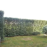 La Corte