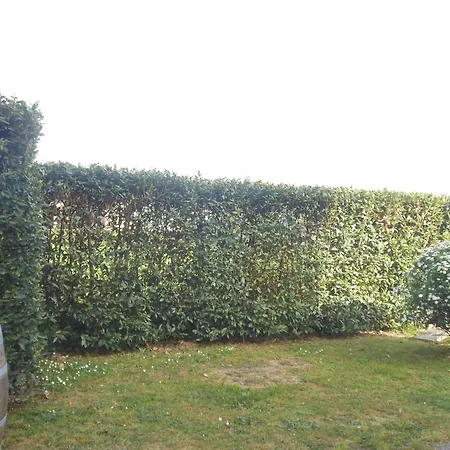 La Corte