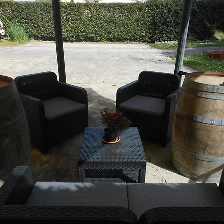 科尔特住宿加早餐旅馆