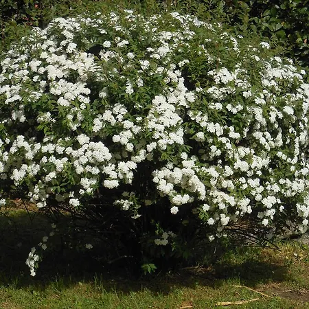 Bed & Breakfast La Corte